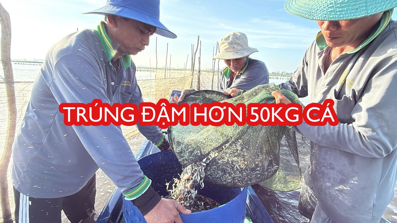 Khai Trương Đổ Dớn Luồng Năm 2025 • TRÚNG ĐẬM HƠN 50KG CÁ | Bông Lúa Đồng Tháp