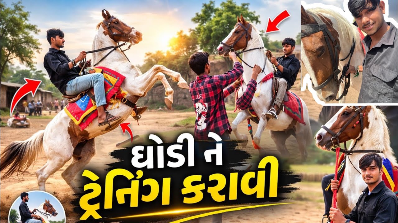 ઘોડી ને ટ્રેનિંગ કરાવી 🤩 || Harrshu_edit || 