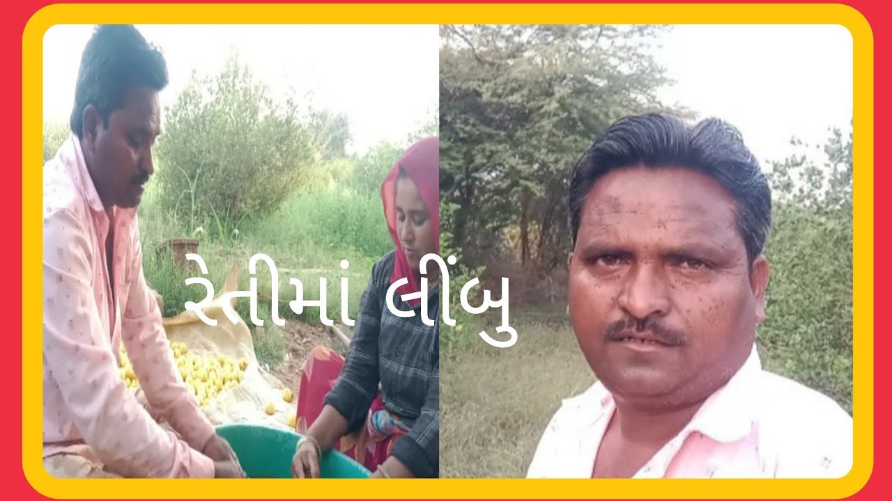 રેતીમાંથી લીંબુ 30 દિવસ બાદ બહાર કાઢ્યા 🙋