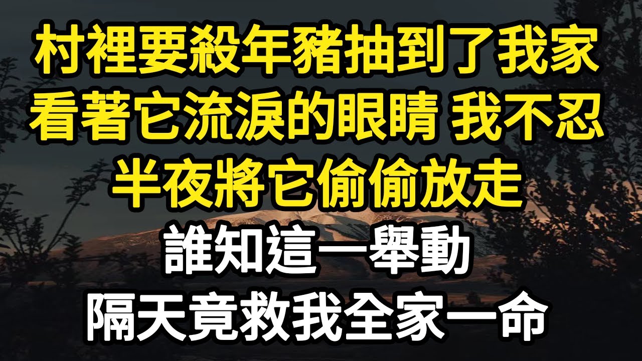 村裡要殺年豬抽到了我家，看著它流淚的眼睛 我不忍，半夜將它偷偷放走，誰知這一舉動，隔天竟救我全家一命#故事#悬疑#人性#刑事#人生故事#生活哲學#為人哲學