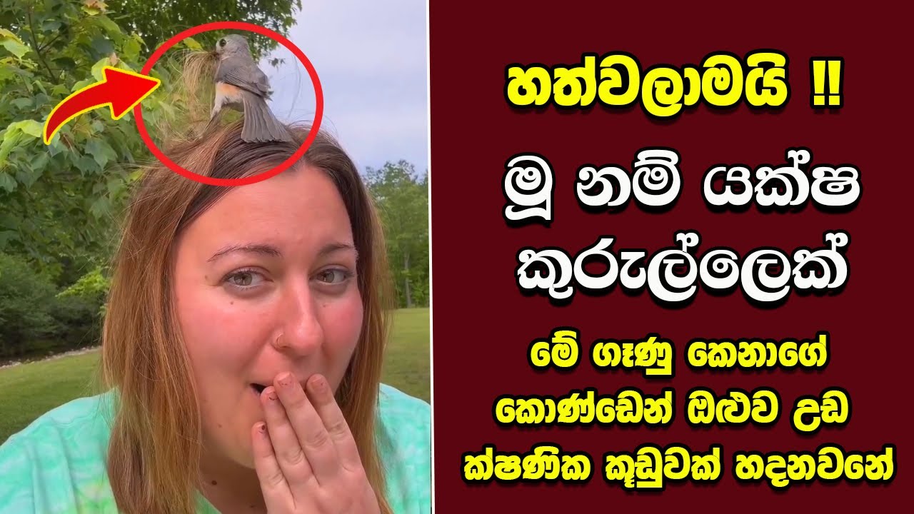 ඔබ මේවා දකින්නේ ජිවිතේ පළමු වතාවට EP:465