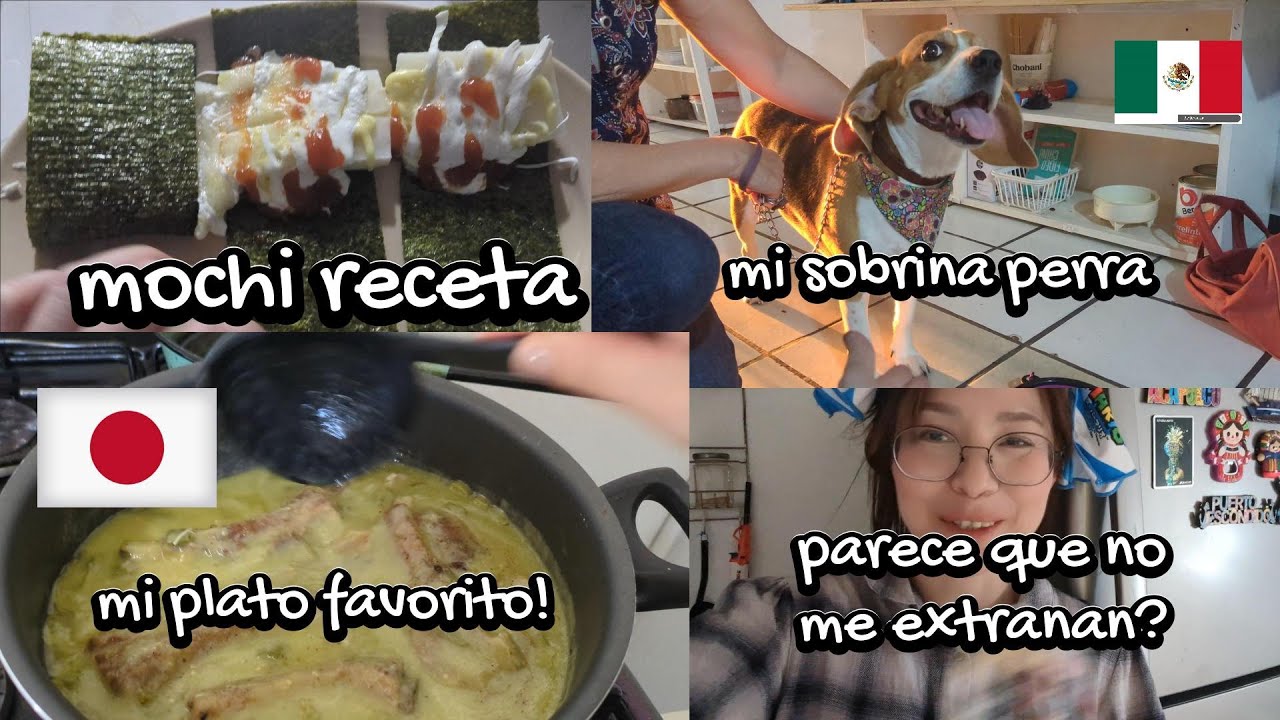 como les va a mis hijos sin mi? +facinados con el mochi
