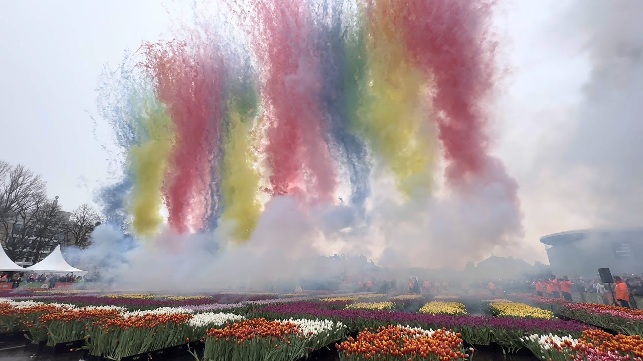 FIREWORKS DISPLAY, NATIONAL TULIP DAY 2025, AMSTERDAM 🇳🇱