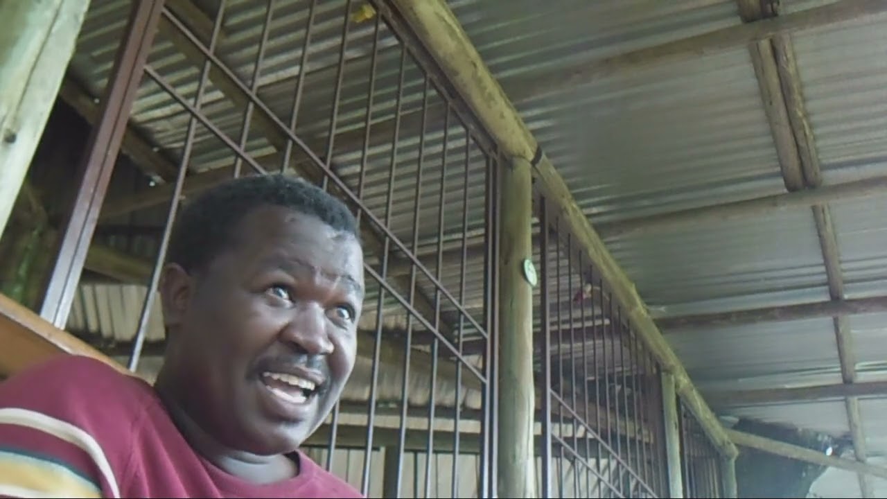 UMLANDO WAKWA NDLOVU EMELMOTH, KWASANGUYE