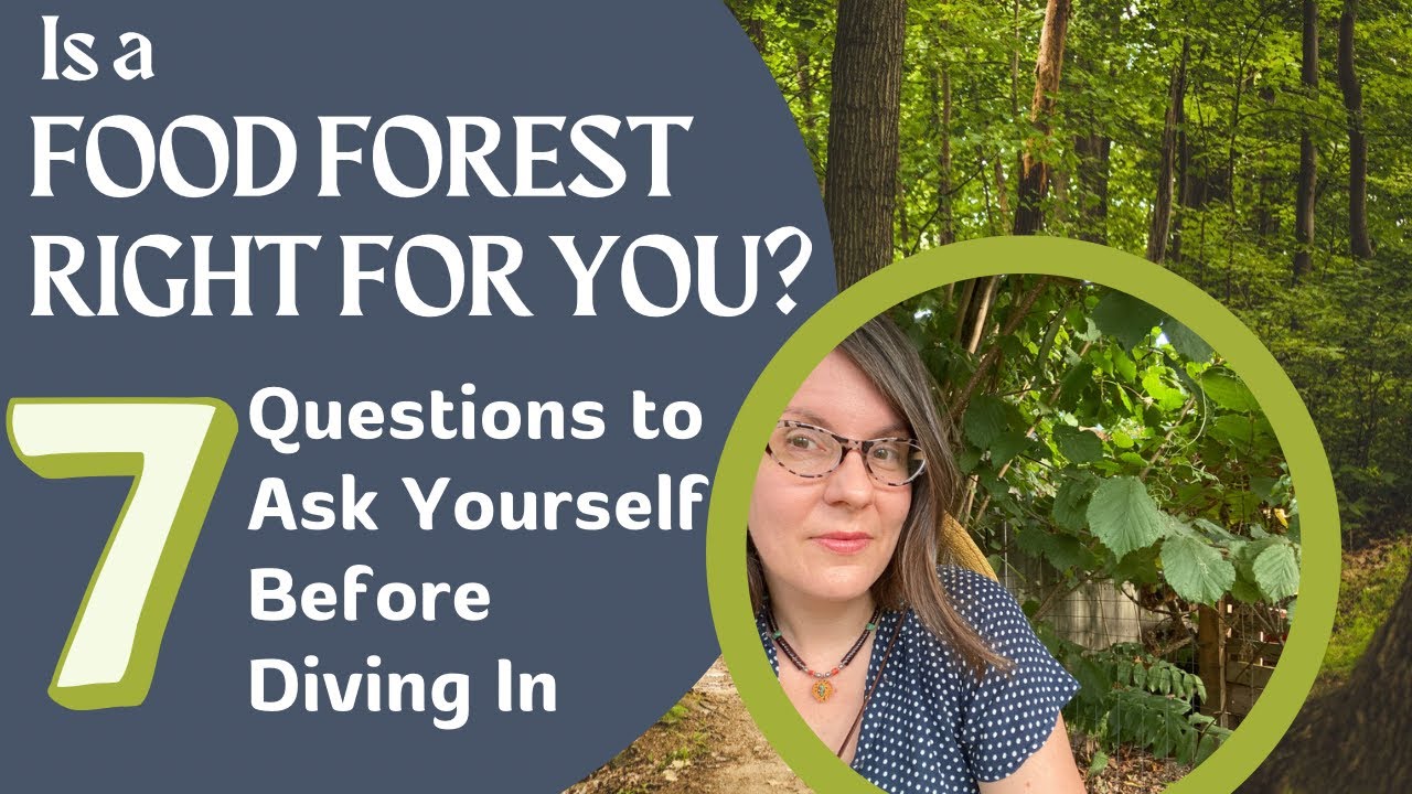 Is a Food Forest Right for You? 7 Questions to Ask Yourself Before Diving In