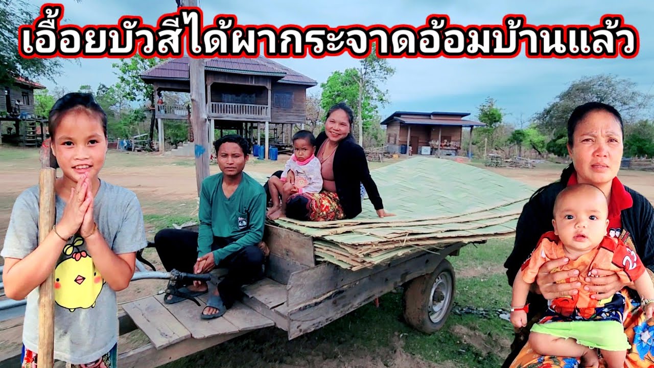 เอื้อย​บัวสีได้ผากระจาดอ้อมบ้านแล้ว​