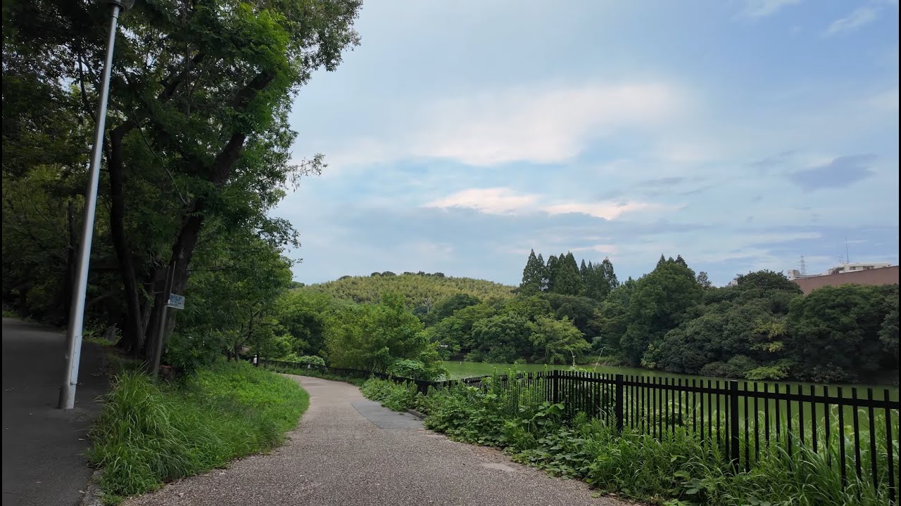 【4K】①Evening Walk in Hattori Ryokuchi Park｜Osaka Nature Stroll &ndash; August 2025 / 夕方の服部緑地を散歩｜2025年8月