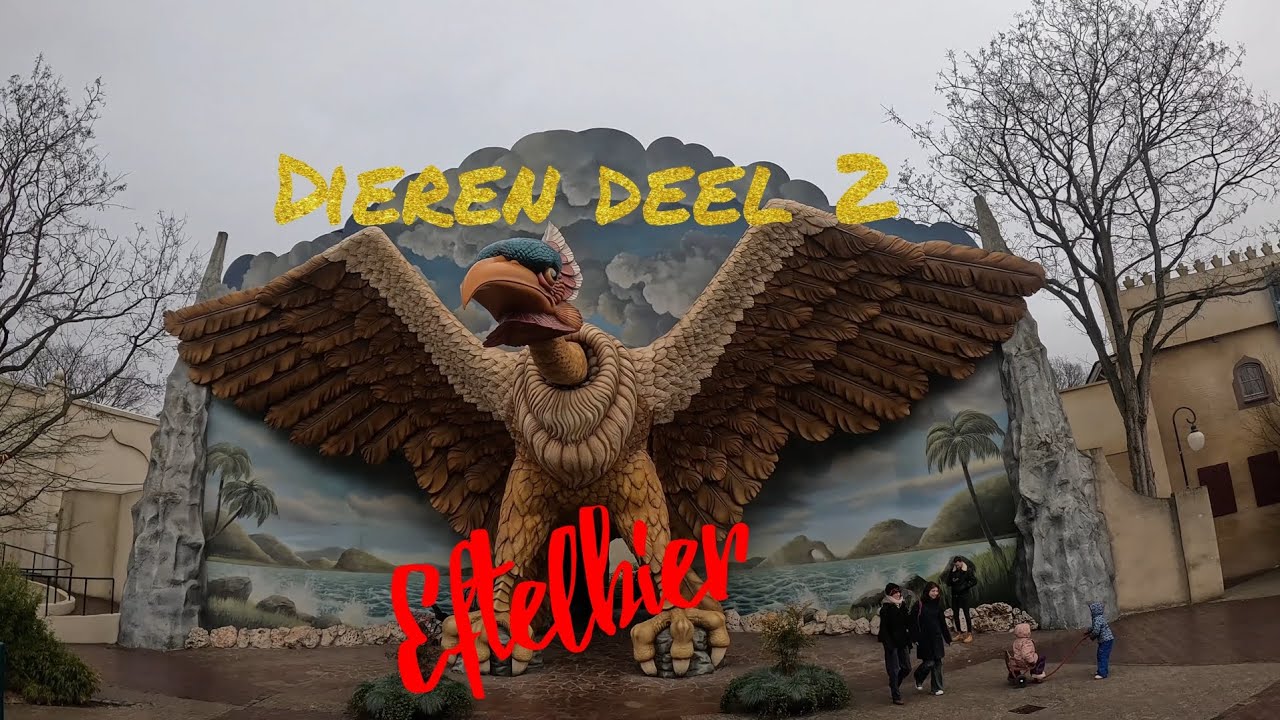 Dieren deel 2