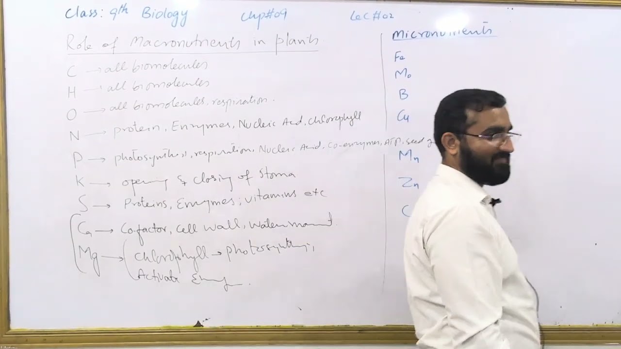 Роль питательных веществ в жизни растений