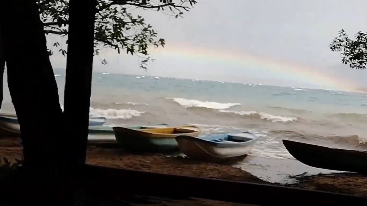 El Principio; Rodada 01, Laguna Miramar, Chiapas