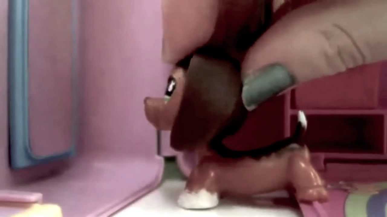 Savvy and Brooke Sing Courage {LPS Popular MV For SophieGTV}