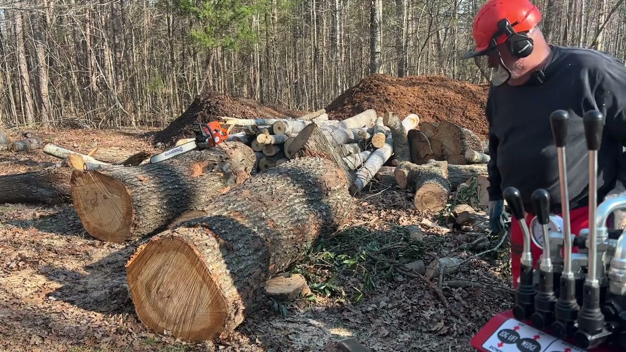 Cutting and splitting big oak rounds