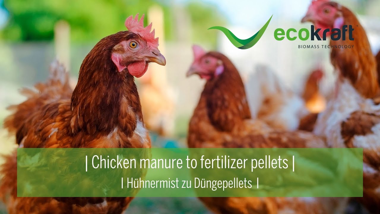 ECOKRAFT - Chicken manure to fertilizer pellets