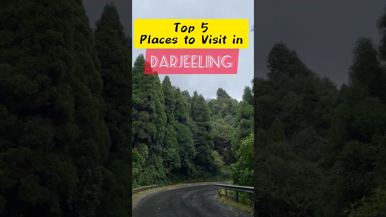 Top 5 Places to Visit in Darjeeling #travelduringbreak #darjeeling