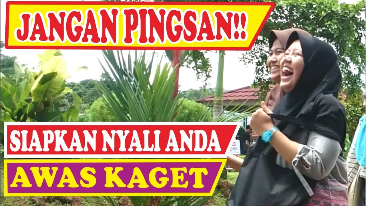 WISATA BUKEN AUTO SHOCKED || BUSHMAN PRANK | PRANK MANUSIA POHON