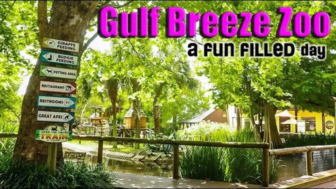 The Gulf Breeze Zoo 2020