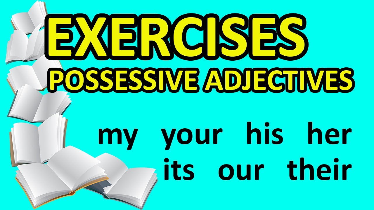 My Your His Her Its Our Their - Exercises with Possessive Adjectives - Easy English Lesson