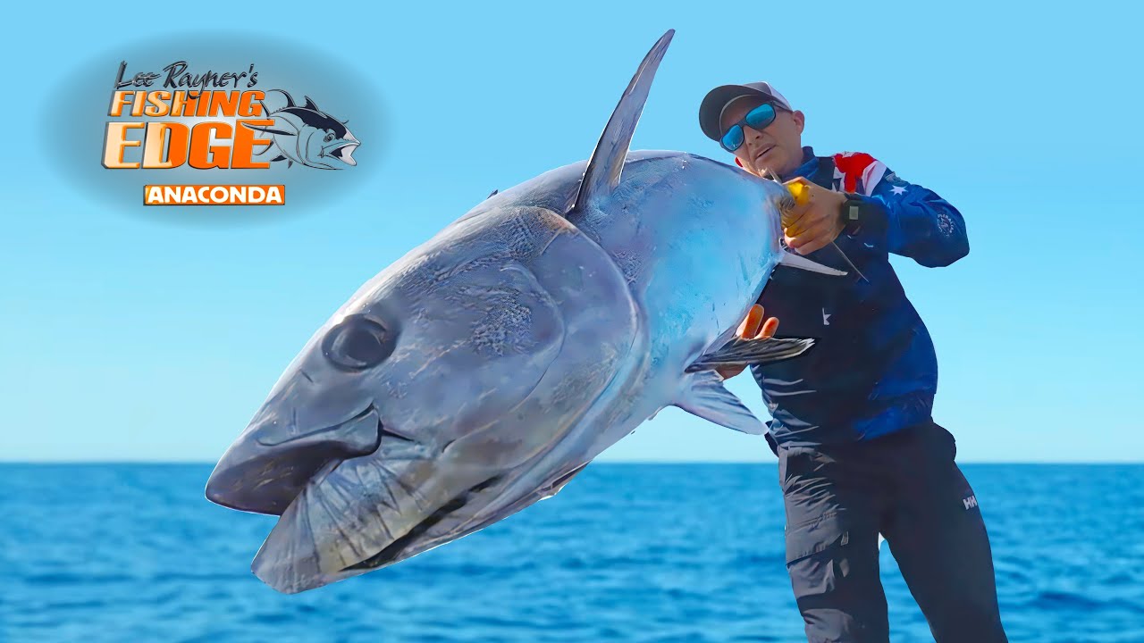 Hot Weather, Hot Topwater And Trolling Blue Fin Tuna