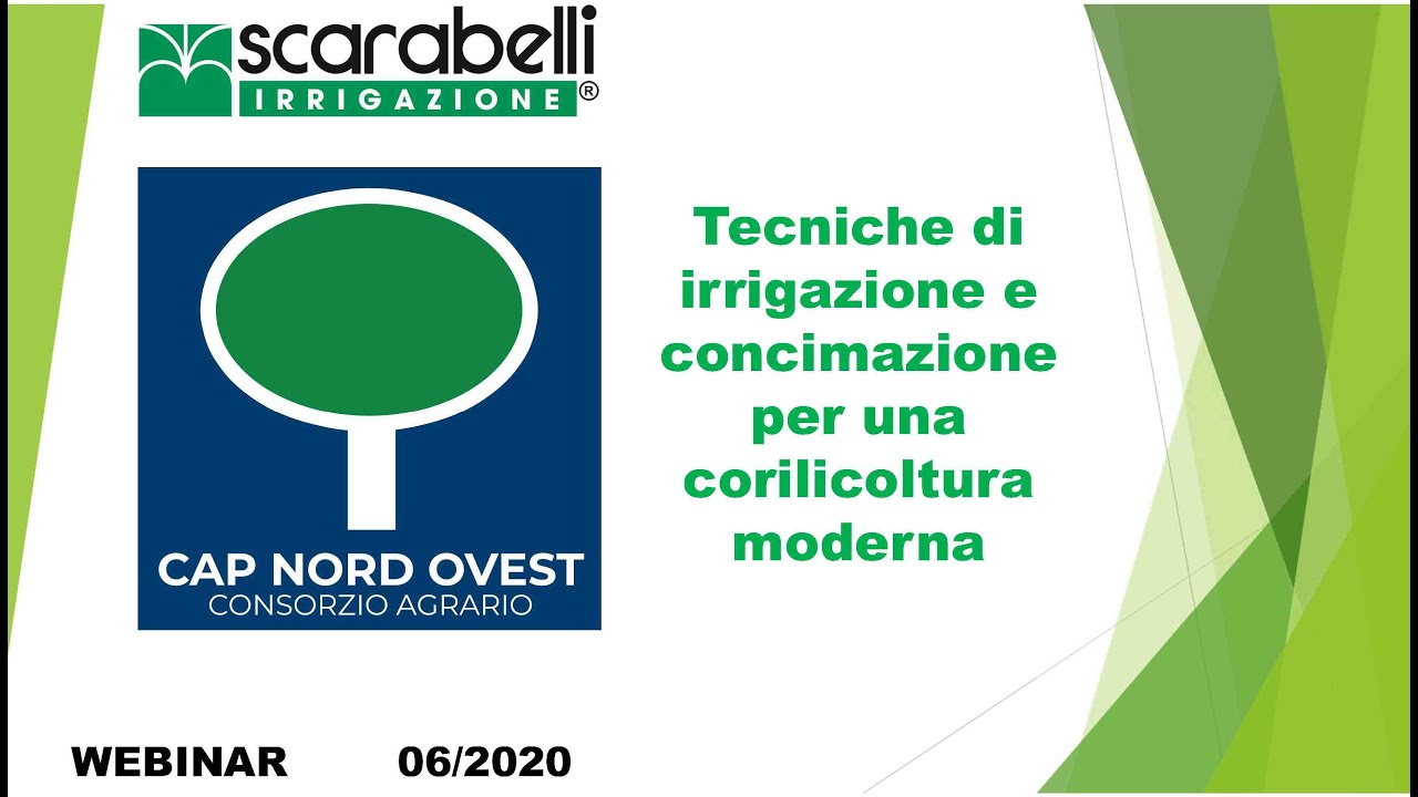 Webinar Nocciolo Consorzio Nord Ovest