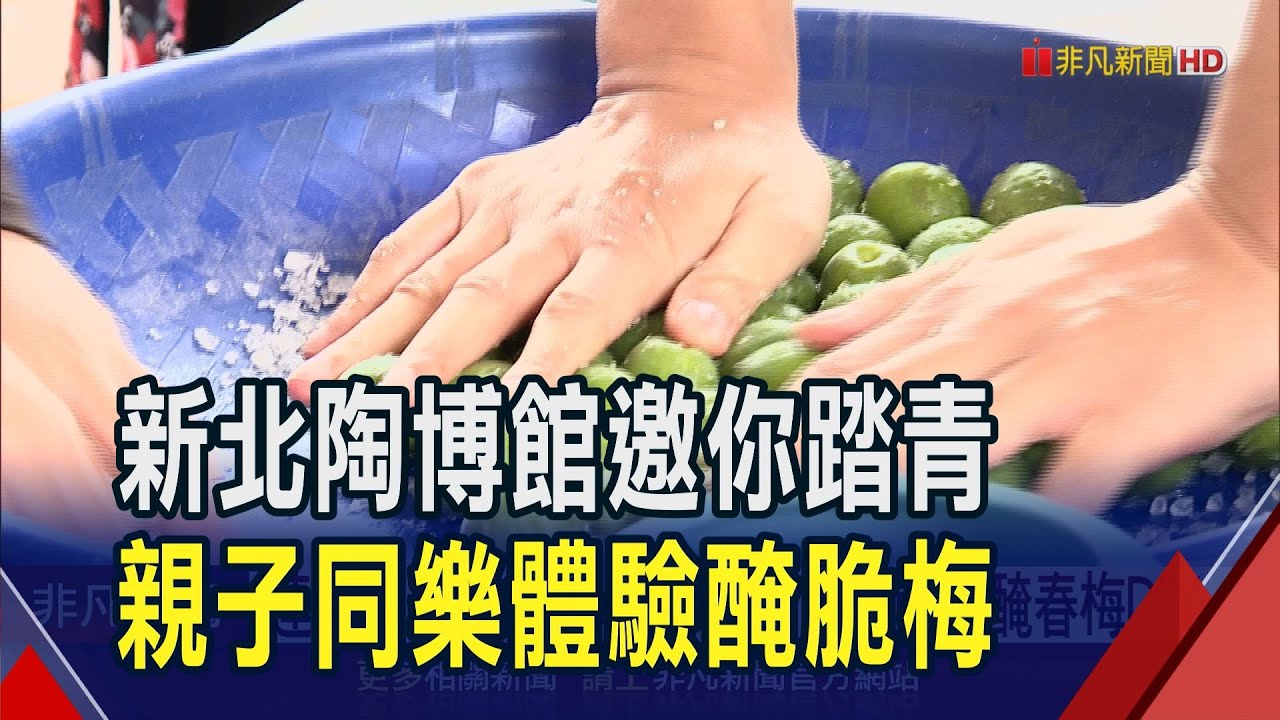 連假踏青就來新北陶博館 親子動手醃春梅DIY  陶博館推限量梅甕 2000人醃漬封存春日滋味!｜非凡財經新聞｜20250403