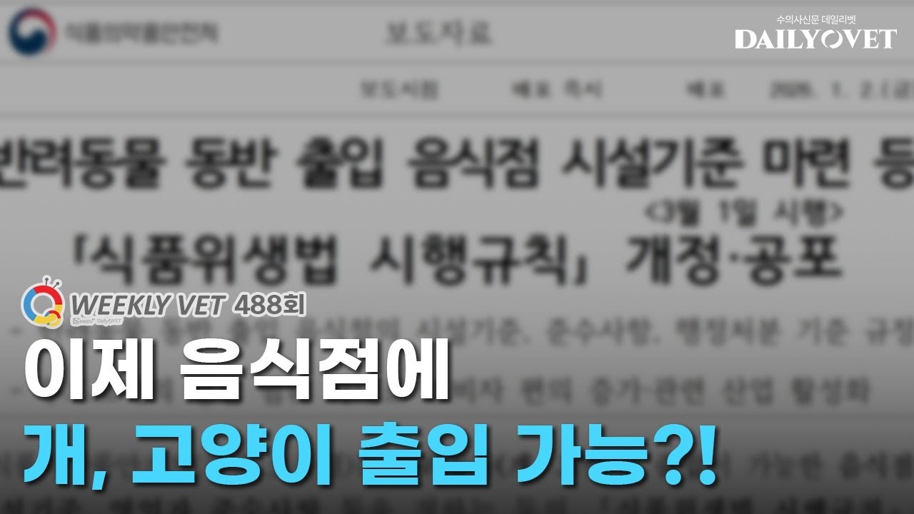 [위클리벳 488회] 음식점 개, 고양이 출입 허용? 모든 음식점에 그냥 들어가면 되는 게 아닙니다!