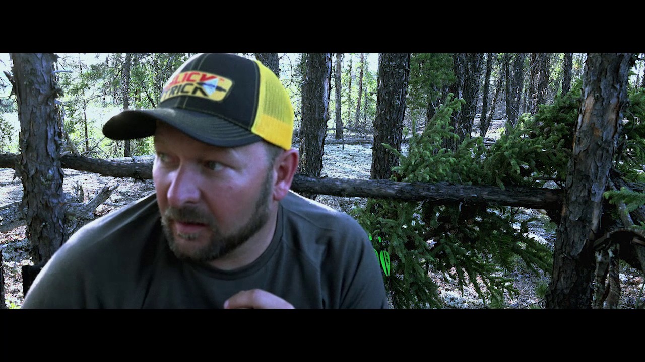 Bear hunts gone wrong!  #BEARSCARES
