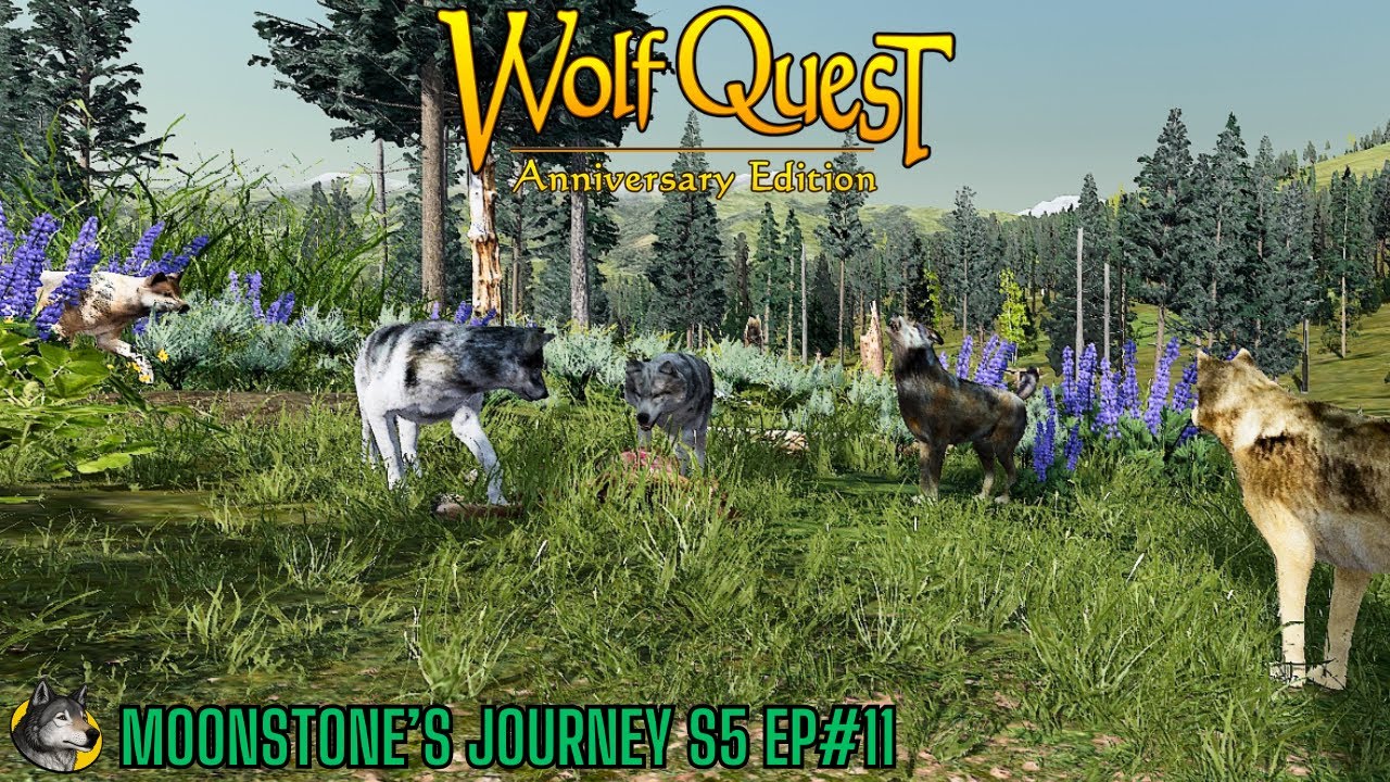 Путешествие Мунстоун - 5 сезон, 11 серия - Сага WolfQuest