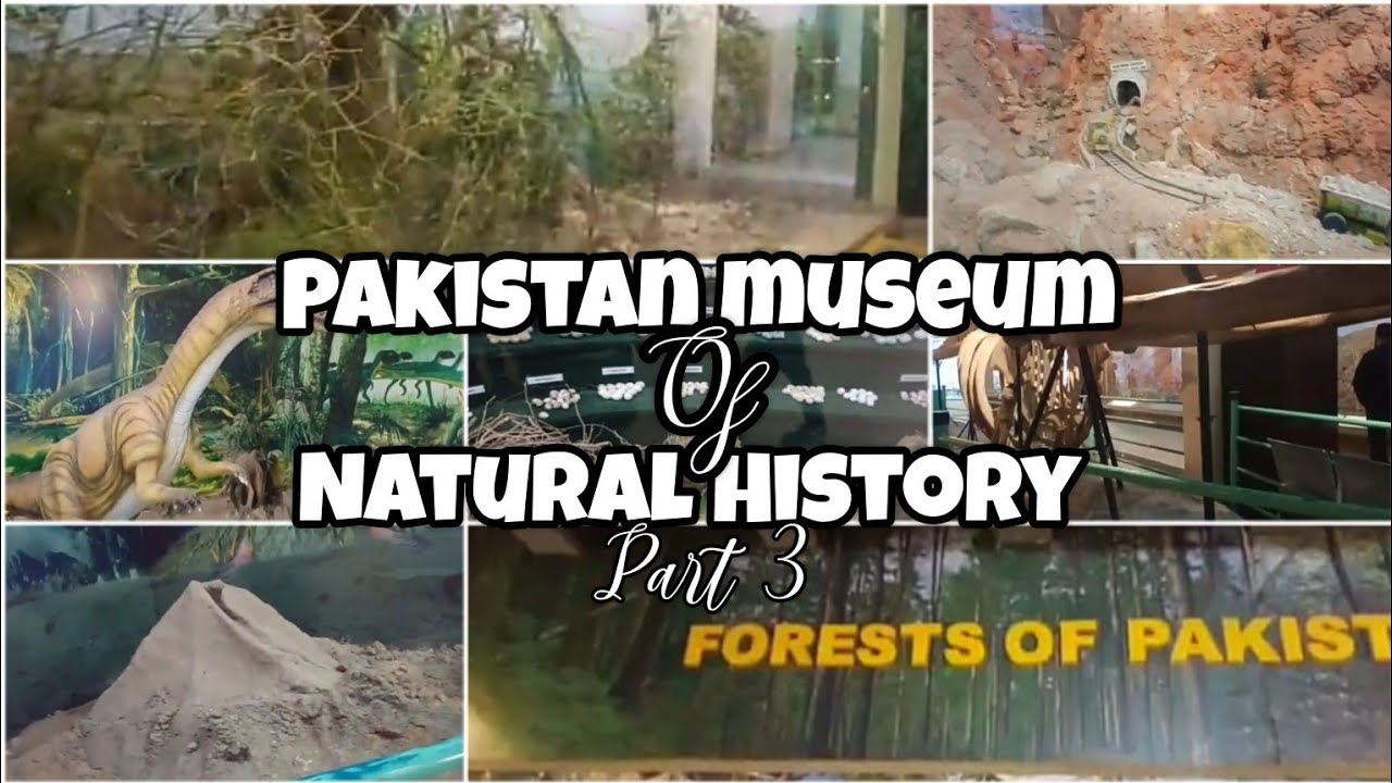 Pakistan Museum of Natural History - Part 3 | Final Part | Informative Vlog | Flavours in Life