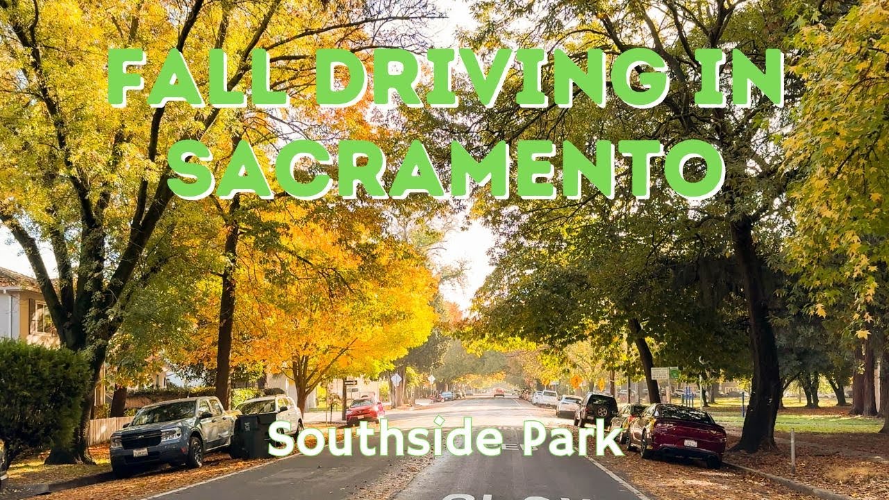 🍂 Fall Drive Through Sacramento | Enjoy The Fall Colors Around Sacramento