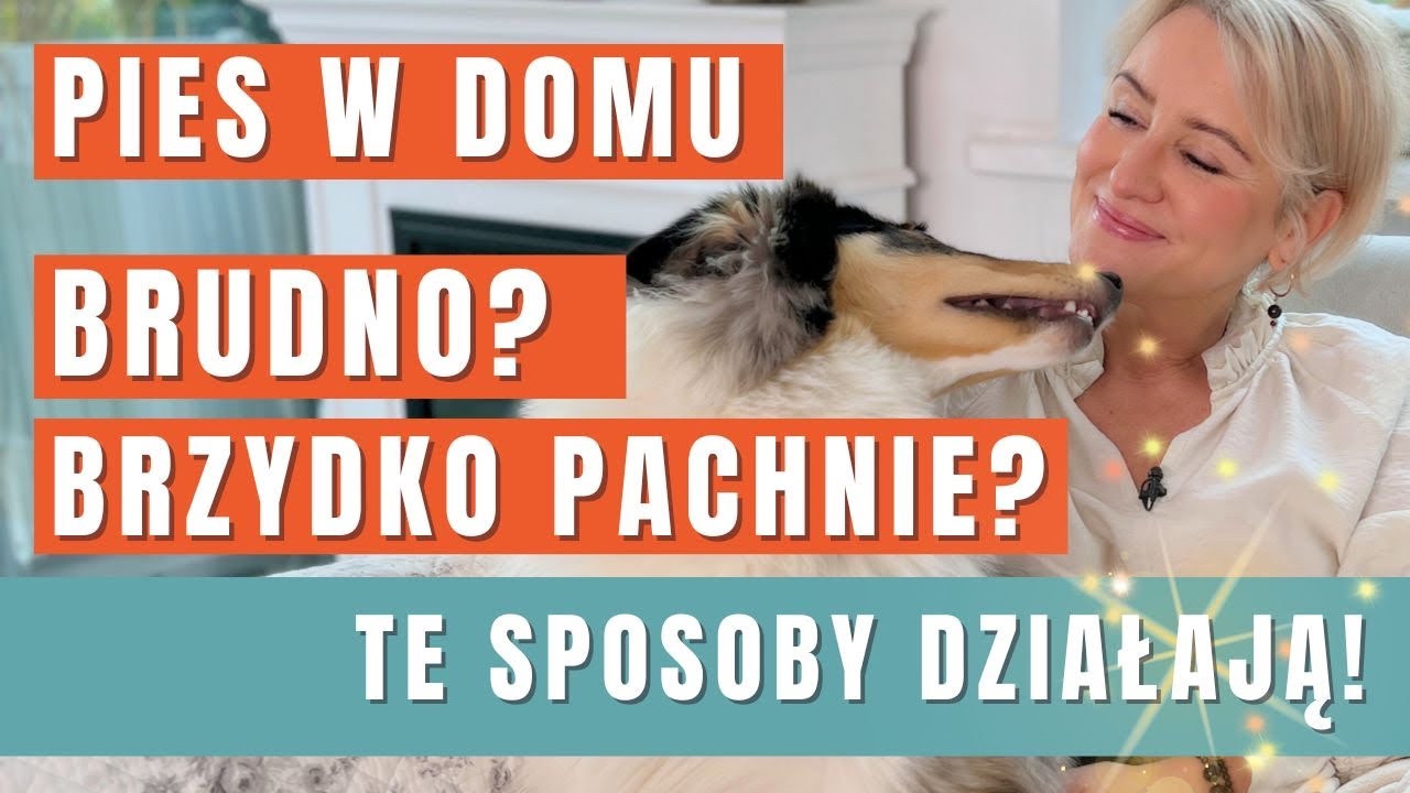 PIES W DOMU - brudno i brzydko pachnie? Wprowadź te 3 zmiany i ciesz się czystym domem. GREEN CANOE