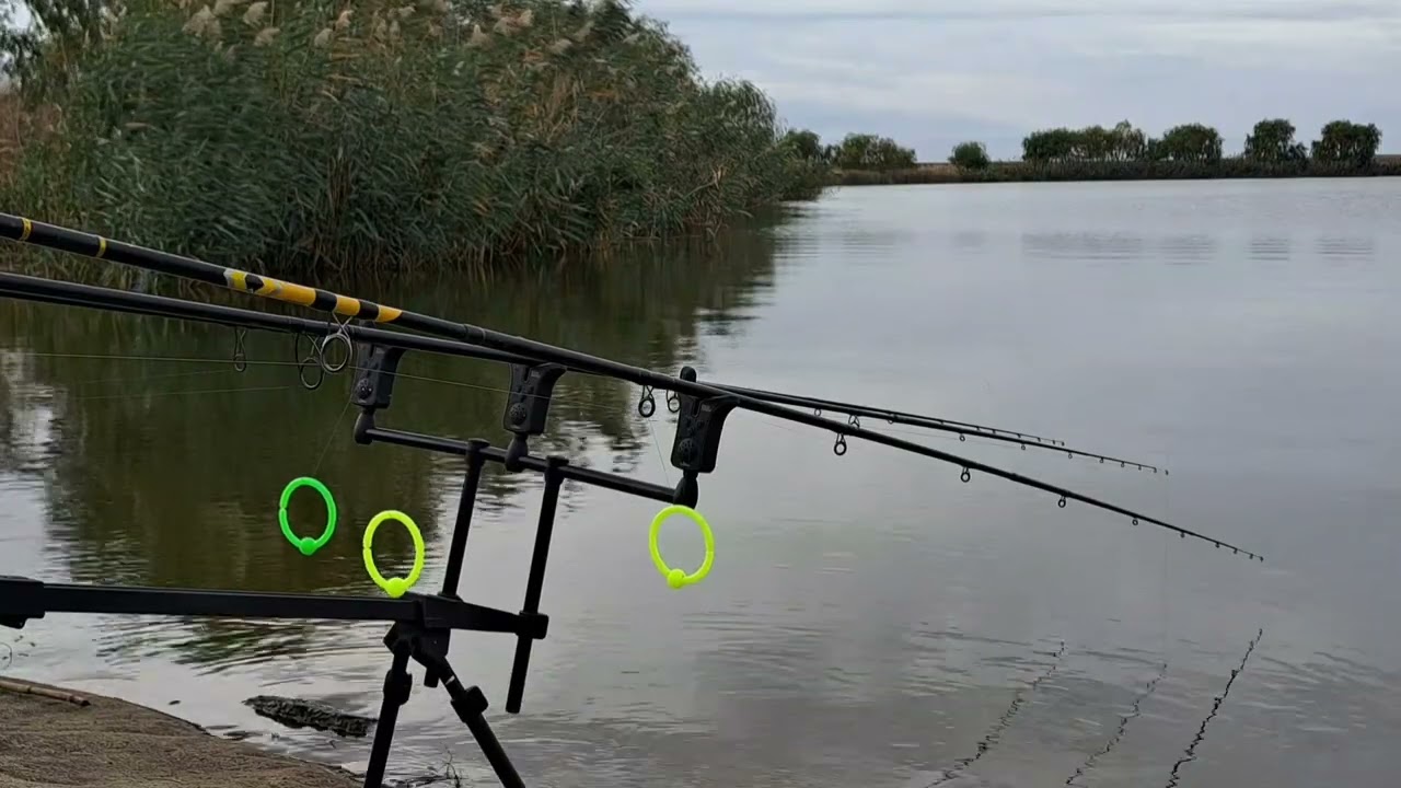 Pescuit la feeder pe balta valea razboiului,baltile Fulga.Prindem caras de 1kg?Mit sau adevar 2023