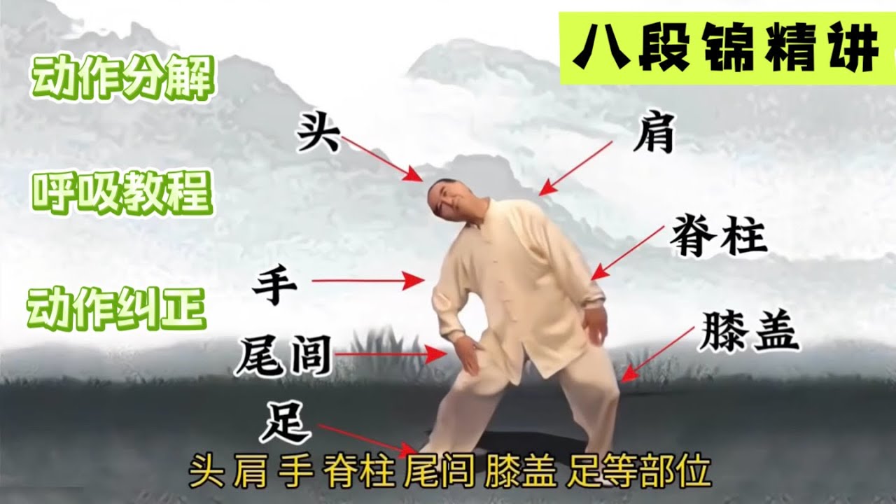 八段锦精解 动作分解 呼吸教程 动作纠正 《摇头摆尾去心火》