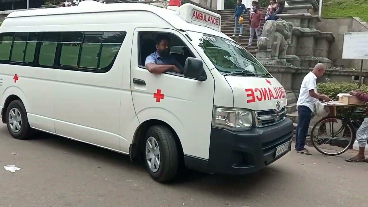 කැළණිය ශ්‍රී කල්‍යාණි ධම් විද්‍යාලය මගින් පවත්වන වාර්ෂික පෙරහැර2026/01/02