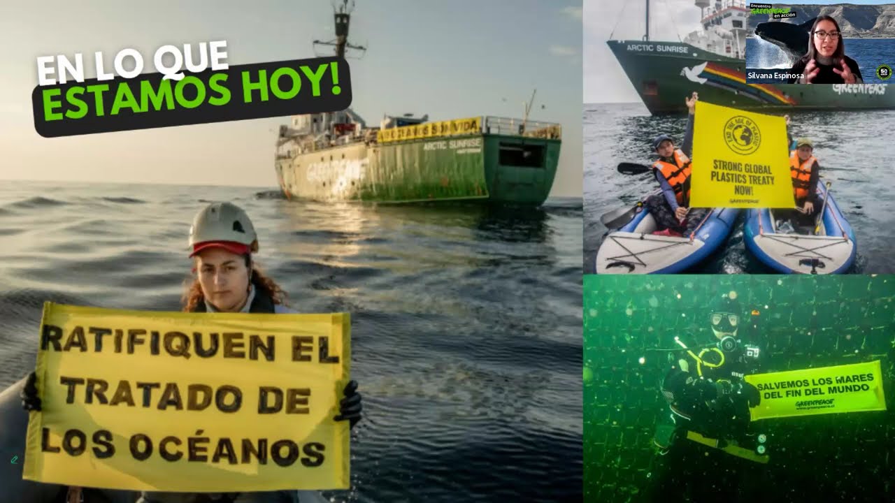 Encuentro Greenpeace en Acción - Conéctate por las ballenas