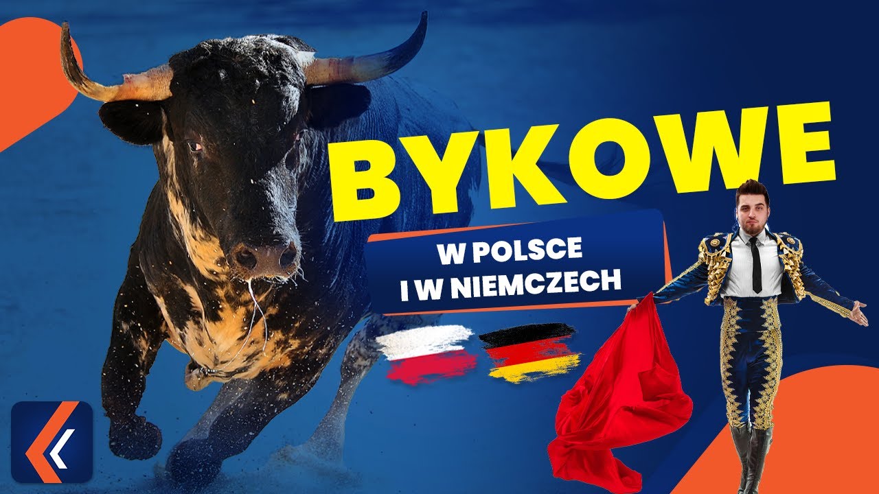Podatek od singli | Bykowe w Polsce i Niemczech 🇵🇱 🇩🇪