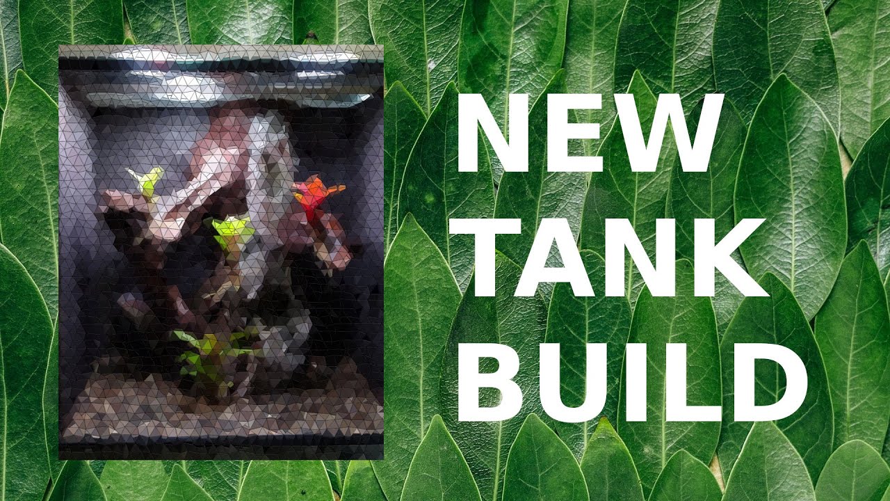 New Terrarium is Finished