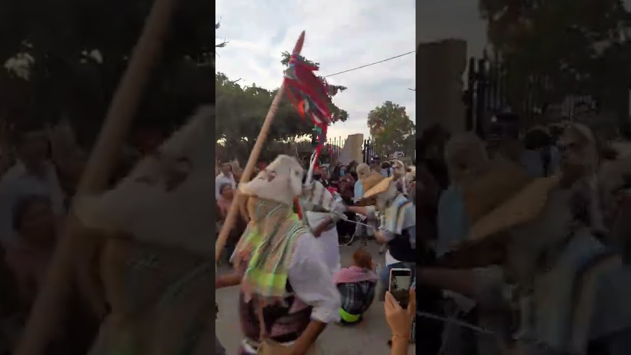 La tradicional, Corrida de la viejita. semana santa en Charay el Fuerte Sinaloa