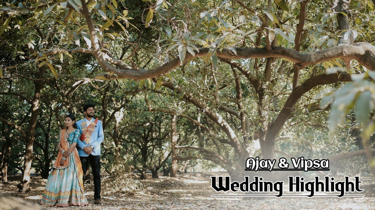 Ajay + Vipsa || Wedding Film || Creative Video Jinagadh ||