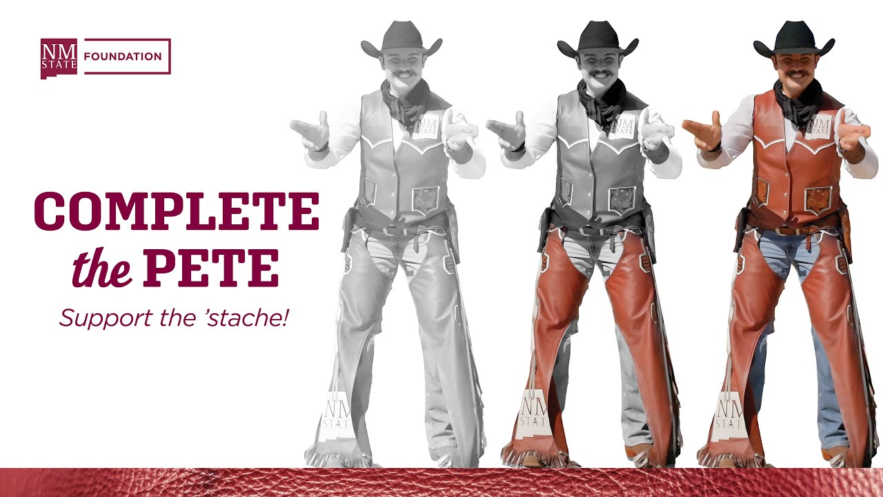 Complete the Pete!