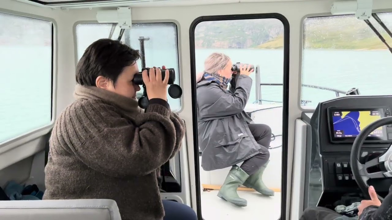 Qasigiannguit 2024 ilai.