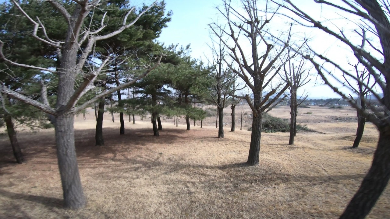 강풍 속 흔들리는 하늘, 멈출 수 없던 나의 FPV 비행 스토리