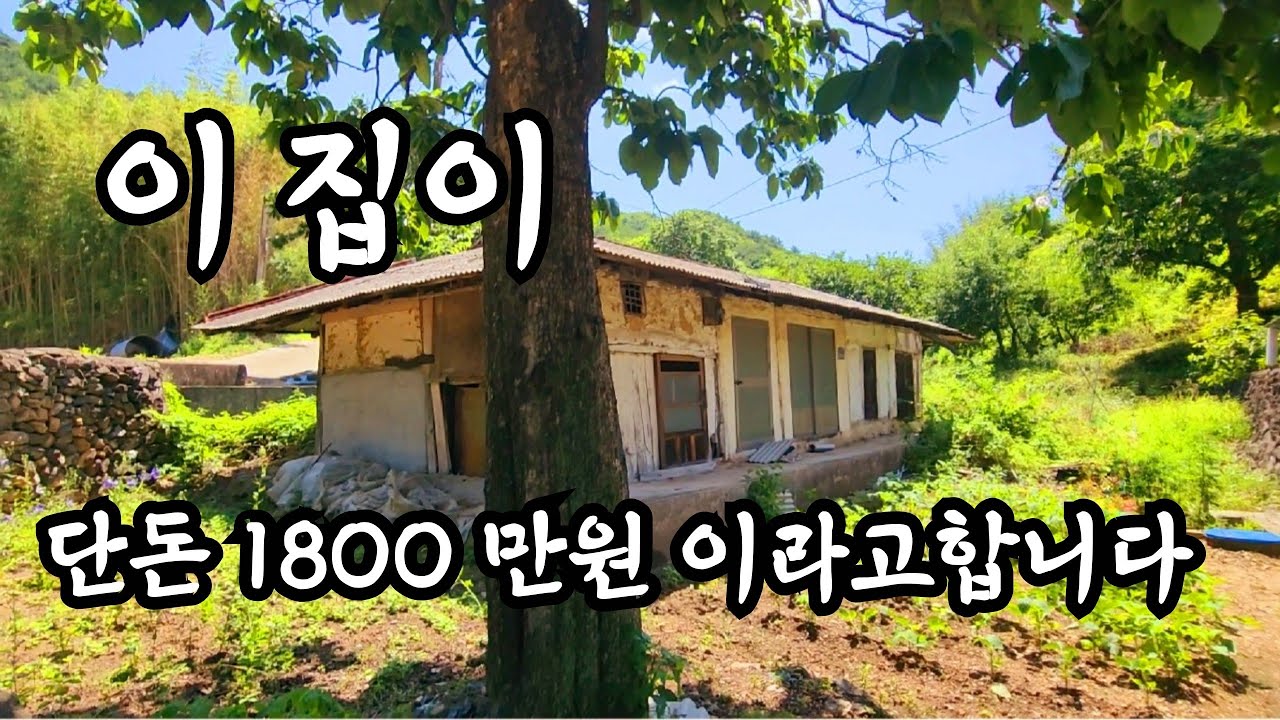 소액으로 작은집 작은땅 원하시는 분들은 관심있게 보세요  an empty house mountain village Korea 🇰🇷 ♥️