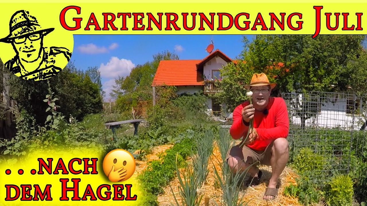 Nach dem tödlichen Hagel: Gartenrundgang Juli 2019 -  so sieht's jetzt aus.