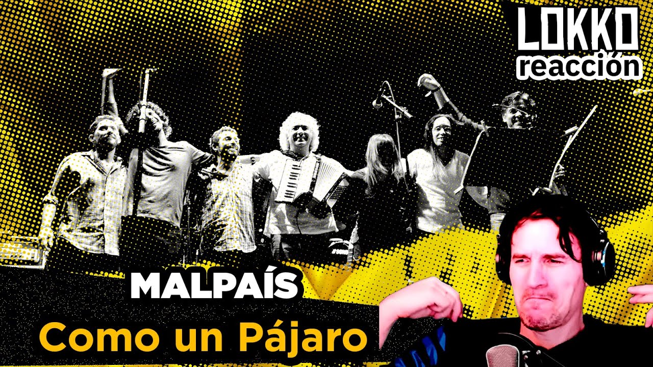Reacción a Malpaís - Como un Pájaro | Lokko analiza tus canciones preferidas!