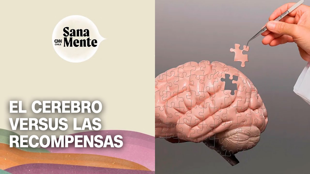 El sistema de recompensa: Cómo el cerebro asocia esfuerzo y premio | Sana Mente