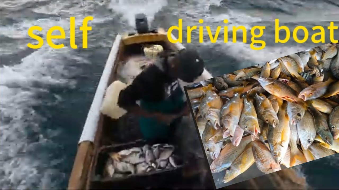 🇯🇲biggest dog tooth snapper 🏝catch of all time💯 13 miles out/10 hour trip with dad .must watch