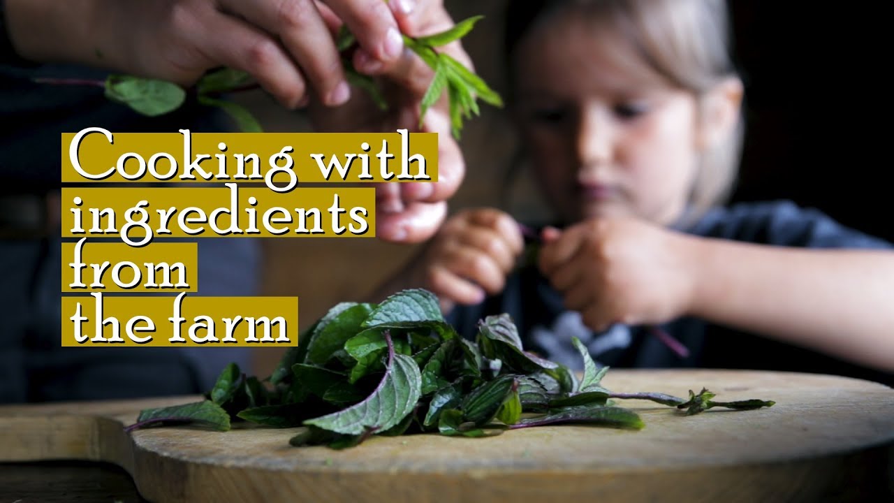 Ytste Skotet - Cooking with ingredients from the farm // Birch Bark in Earth Oven