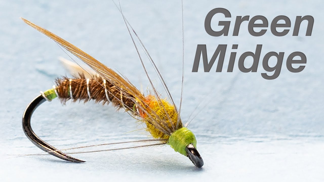 Adult Green Midge