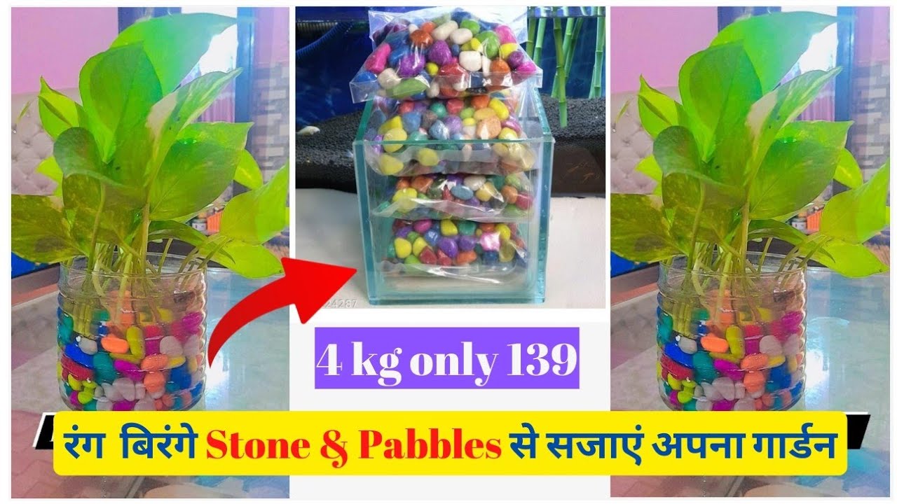 Online Pebbles Stone - Just 139 Rs.! #Pebbels #GardenDecor #DIYIdeas #Colourful Stones #Gardn