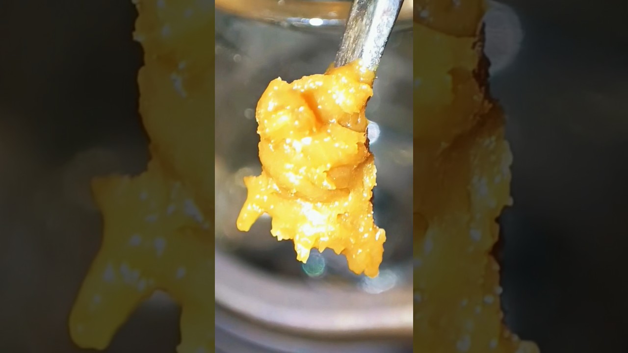 Blue Cheese Flower Rosin Meltshot 🍯😶‍🌫️